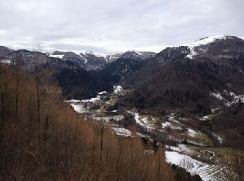 Randonnée Marche Metzeral - Sentier de Giesenbach - Photo