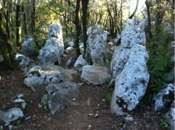 Trail Walking Saint-Bauzille-de-Putois - Tour du Taurac - Photo