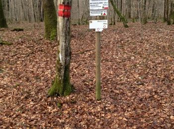 Tour Wandern Bischingen - rando bessoncourt frais - Photo