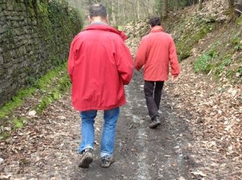 Trail Walking Bourg-des-Comptes - 130326 Pléchatel - Photo
