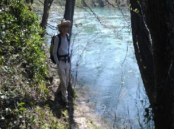 Excursión Senderismo Montarnaud - Montarnaud - St guilhem - Photo