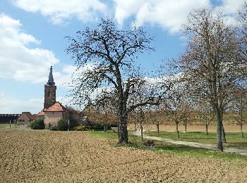 Tocht Stappen Molsheim - Les Chapelles entre vignoble et canal - Photo