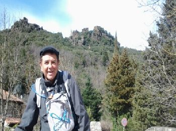 Tour Wandern Le Bousquet-d'Orb - Bousquet d'Orb - St Gervais sur Mare - Photo