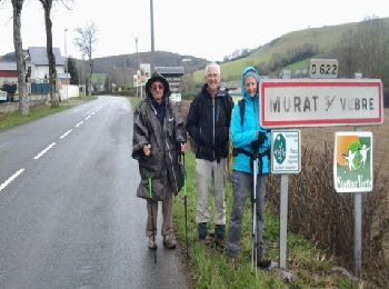 Trail Walking Saint-Gervais-sur-Mare - St Gervais - Murat - Photo