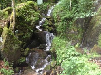 Tocht Stappen Le Hohwald - petit tour au hohwald route, cascade et chemin forestier - Photo