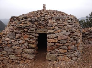 Tocht Stappen Saint-Chinian - les capitelles - Photo