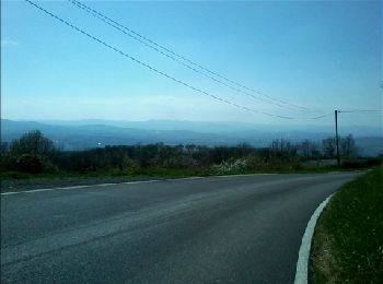 Percorso Mountainbike Dardilly - Mont verdun - Photo