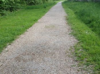 Trail Walking Samoreau - samoreau. - Photo