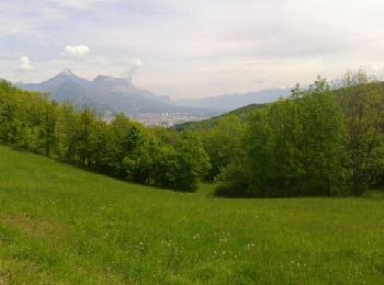Randonnée V.T.T. Grenoble - Tourbière du Peuil - Photo