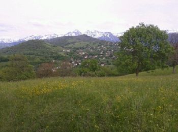 Percorso Mountainbike Grenoble - Les 4 seigneurs, herbeys, le murier - Photo