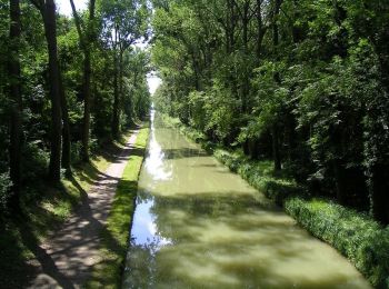 Tocht Stappen Vaujours - Aqueduc de la Dhuis et retour par le canal de l'Ourq - Photo