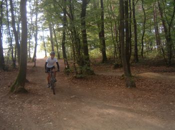Trail Mountain bike Segré-en-Anjou Bleu - 11eme Rando des Mines - Nyoiseau - Photo