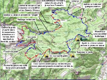 Tocht Mountainbike Allauch - Vallon de l'Amandier - Allauch - Photo