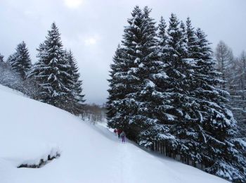 Trail Walking Bussang - La petite boucle de Sainte Barbe - Bussang - Photo