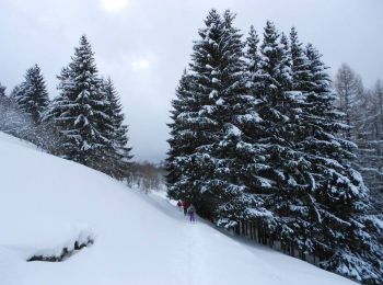 Tocht Sneeuwschoenen Bussang - La petite boucle de Sainte Barbe - Bussang - Photo