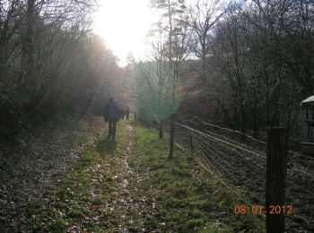 Trail Walking Hanviller - Randonnée de Schwingmuehle à Eberbach par Roppeviller - Photo