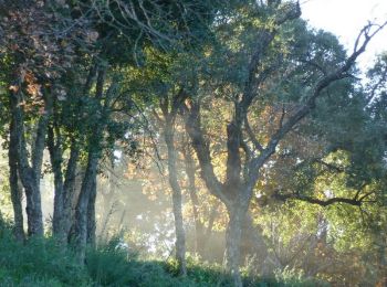 Percorso Corsa a piedi La Crau - Le Fenouillet - La Crau    - Photo