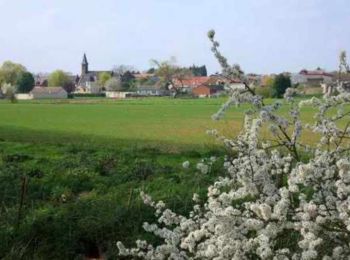 Tour Wandern Chérisy - De Chérisy à Guémappe par les verts Sablons - Photo