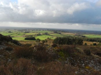 Tocht Stappen Botmeur - Roc'h Bichourel - Botmeur - Photo