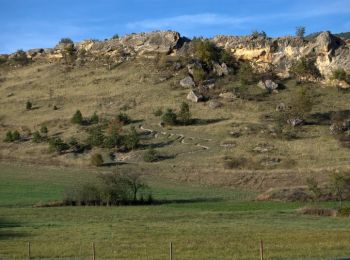 Excursión Bici de montaña Barrême - Espace VTT - FFC du Verdon et des Vallées de l'Asse - Le Tour de Lieye n°15 -  Barrême - Photo