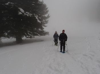 Excursión Raquetas de nieve Sondernach - Traversée des Vosges en raquettes - Étape 3 - de Rhotenbrunnen à Soultzeren - Photo