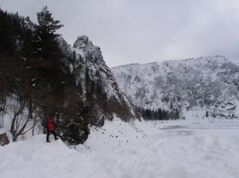 Tocht Sneeuwschoenen Soultzeren - Traversée des Vosges en raquettes - Étape 4 - de Soultzeren à Lapoutroie - Photo