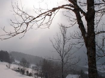 Percorso Racchette da neve Plainfaing - Traversée des Vosges en raquettes - Étape 6 - de Plainfaing à Québrux - Photo