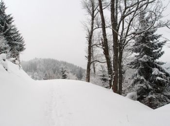 Excursión Raquetas de nieve Ban-de-Laveline - Traversée des Vosges en raquettes - Étape 7 - de Québrux à Sainte Marie aux Mines - Photo