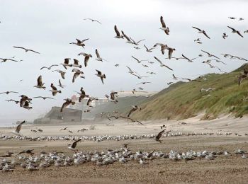 Randonnée V.T.T. Étaples - Le littoral de Etaples à Rang du Fliers - Photo