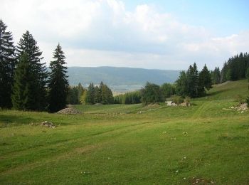 Tour Wandern Les Rousses - La Frontière - Les Rousses - Photo