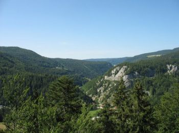 Tour Wandern  - Le Belvédère des Maquisards - Prémanon - Photo