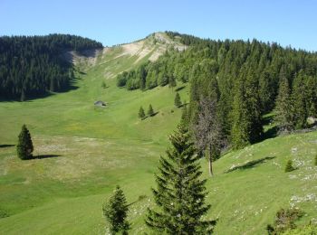 Tour Wandern Les Rousses - Le Creux du Croue - Les Rousses - Photo