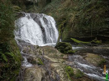 Tocht Stappen La Bridoire - Au fil du Ruisseau du Grenant - La Bridoire - Photo