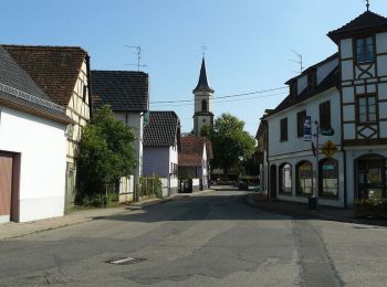 Tour Fahrrad Ernolsheim - Circuit cyclo des villages de plaine - Ernolsheim-Bruche - Photo