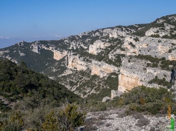 Excursión Senderismo Puget - Les Rochers de la Croix de Fer - Les Borrys - Photo
