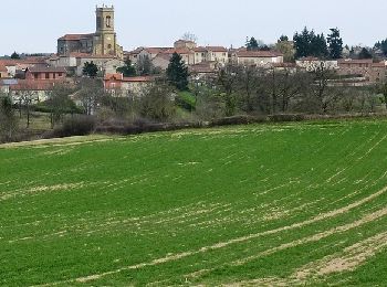 Excursión Bici de montaña Cordelle - VTT sur la presqu'ile de Mars et le plus grand méandre de la Loire - Cordelle - Photo