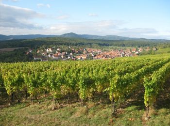 Randonnée Marche Dorlisheim - Escapade dans le vignoble de Dorlisheim - Photo