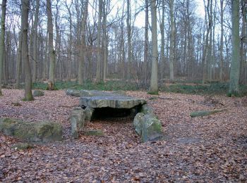 Excursión Senderismo Noisy-sur-Oise - La Pierre Turquaise en forêt de Carnelle - Beaumont sur Oise - Photo