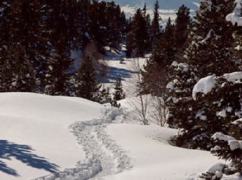 Percorso Racchette da neve Chamrousse - Bachat Bouloud - Lac Achard - Chamrousse - Photo