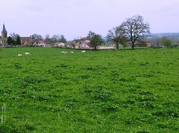 Randonnée V.T.T. Saint-Pierre-la-Noaille - Marche des Châteaux (20 km) - Saint-Pierre-la-Noaille - Photo