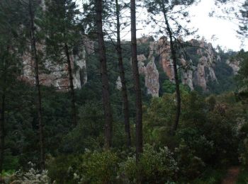 Randonnée V.T.T. Puget-sur-Argens - Forêt de la Colle du Rouet aux Gorges de Blavet - Fréjus - Photo