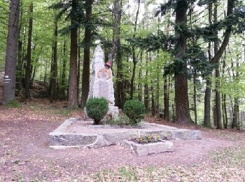 Randonnée V.T.T. Wintzenheim - croix de wihr - Photo