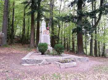 Tocht Mountainbike Wintzenheim - croix de wihr - Photo