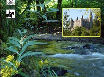 Excursión Caballo Houyet - Nature & heritage : Castle of Vêves - Celles - Photo