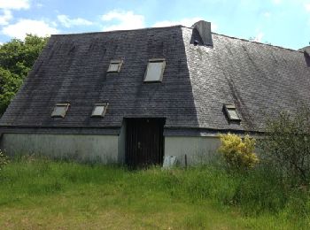 Tocht Stappen Plobannalec-Lesconil - Plomeur  - Photo