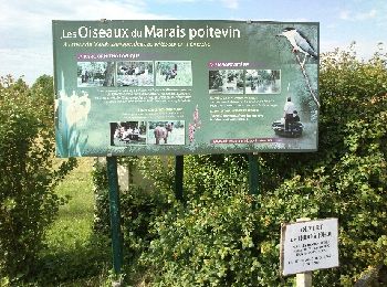 Tocht Fiets Maillé - Maillé-Les Oiseaux du Marais - Photo