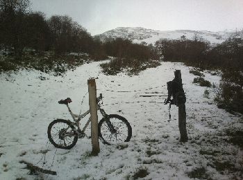 Trail Mountain bike Chambon-sur-Lac - charbon des neiges - Photo