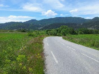 Percorso Bicicletta Embrun - Contre la montre EMBRUN-CHORGES - Photo