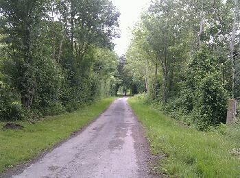 Trail Walking Le Bourdet - Le Bourdet - 10km - Photo