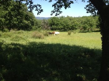 Trail Walking Soumont - Soumont et ses Dolmens - Photo